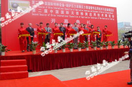 婚慶與慶典禮儀 締造完美時刻的藝術(shù)